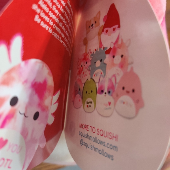 Squishmallows Pink Axolotl Plush Valentine's Day I Love You Alotl Nwt 7" Aleka - Picture 4 of 6